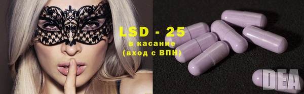 a pvp Новодвинск